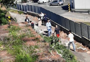 Giarre e Riposto, Nuove Voci a lavoro per ripulire due ville