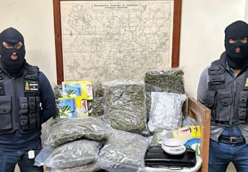 Gdf, sequestrati 20 chili di marijuana: due arresti