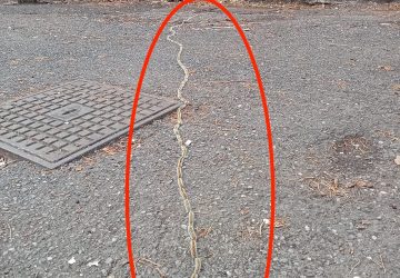 Riposto, la Processionaria sbeffeggia l'ordinanza a villa Pantano. Sullo sfondo il degrado