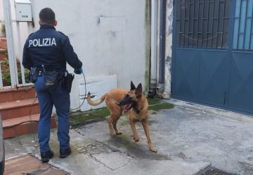 Controlli a tappeto della Polizia, a Fiumefreddo droga in un condominio
