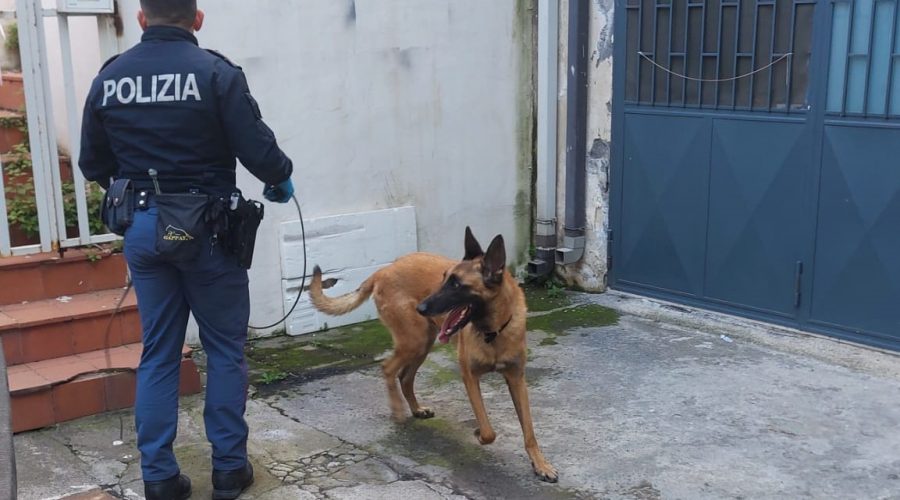 Controlli a tappeto della Polizia, a Fiumefreddo droga in un condominio