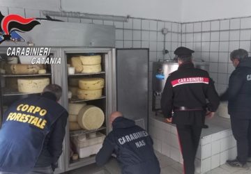 Controllo ad un caseificio abusivo. Sequestrata l&rsquo;attivit&agrave; e denunciate due persone