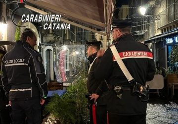 Controlli serrati dei Carabinieri per la &ldquo;sicurezza del cittadino&rdquo;. Un denunciato, in giro con una mannaia.