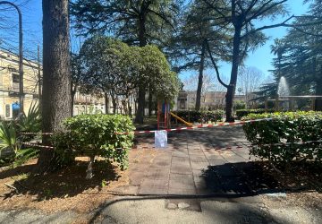 Riposto, allarme processionaria: temporaneamente chiusi gli spazi ludici di Villa Pantano