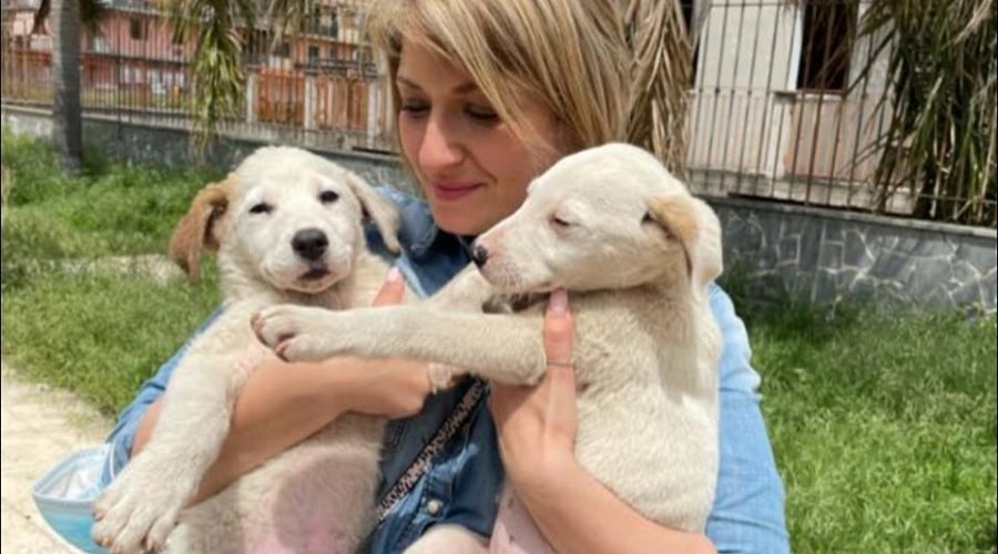 Mascali, avviso per l’istituzione dell’elenco dei volontari animalisti accreditati