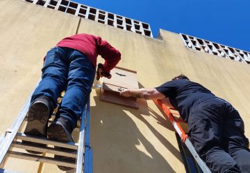 Inaugurate a Trepunti casette-rifugio per pipistrelli VD