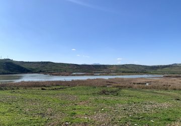 Emergenza idrica, riparazione urgente paratie della traversa di Ponte Barca sul Simeto: accolte le sollecitazioni di Confagricoltura