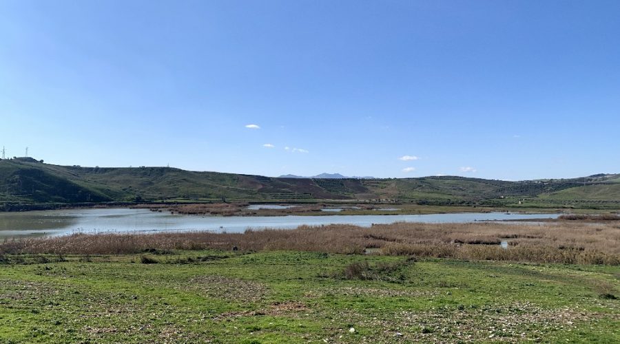Emergenza idrica, riparazione urgente paratie della traversa di Ponte Barca sul Simeto: accolte le sollecitazioni di Confagricoltura