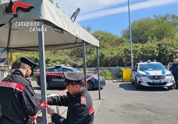 Contrasto ai reati ambientali: denunciato un 43enne e scoperti 8 lavoratori in nero