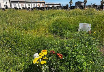Giarre, cimitero "verde" di rabbia... E non solo