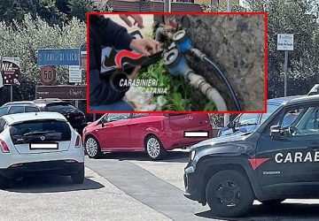 Ai domiciliari con allaccio idrico abusivo