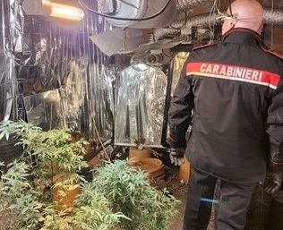 Giarre, colpo al traffico della droga: mini serra sotterranea negli alloggi Jungo VIDEO