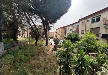 Giarre, Rione Satellite: centrale della droga. Carabinieri sequestrano 7 chili di droga e tartarughe protette. Un arresto