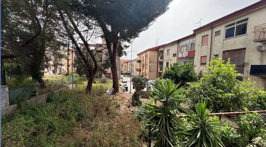 Giarre, Rione Satellite: centrale della droga. Carabinieri sequestrano 7 chili di droga e tartarughe protette. Un arresto