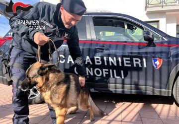 Controllo presso Comunit&agrave; di accoglienza, i cani dell&rsquo;Arma fiutano della marijuana
