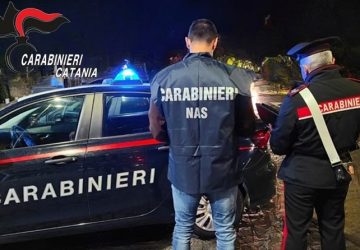 Controlli alle attivit&agrave; commerciali: chiusa una gastropescheria abusiva