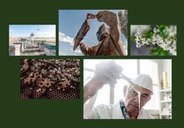 Il fotografo mascalese Vito Finocchiaro trionfa a Dubai