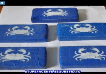 Operazione "Devozione": stroncato traffico di droga. 13 gli arrestati I NOMI