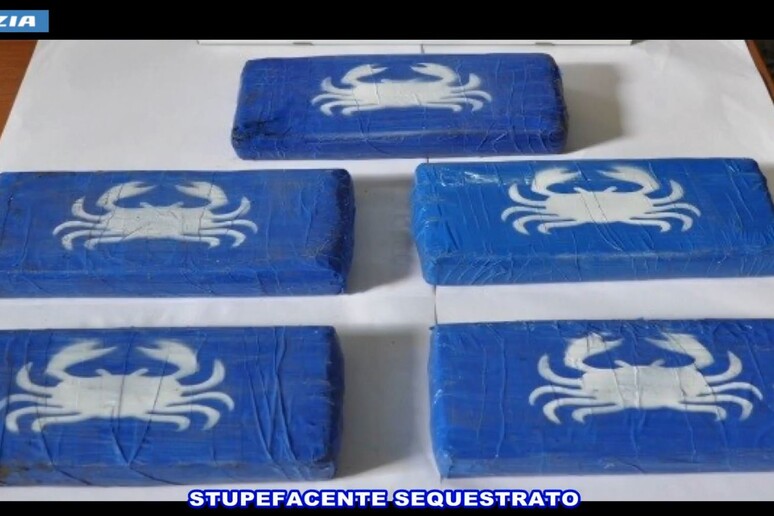 Operazione “Devozione”: stroncato traffico di droga. 13 gli arrestati I NOMI