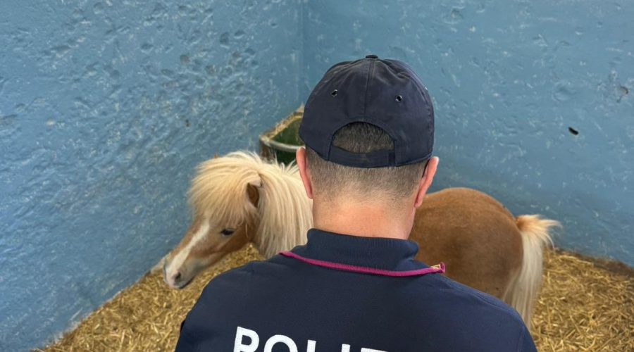 Controlli antidroga a tappeto a San Giovanni Galermo