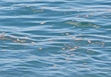 Fondachello, si ripete il copione dell'estate: liquami trascinati dalle correnti