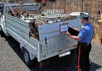 Contrasto ai reati ambientali: un denunciato dai Carabinieri