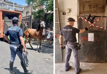 Controlli a tappeto a San Cristoforo: nel mirino stalle e attivit&agrave; commerciali