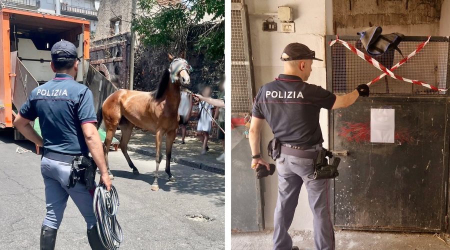 Controlli a tappeto a San Cristoforo: nel mirino stalle e attività commerciali