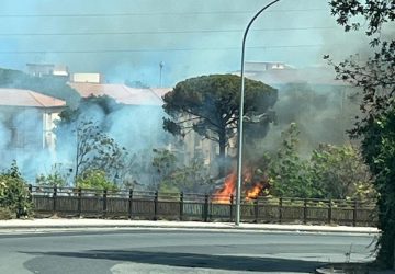 Giarre, rione Satellite: a fuoco l'area a verde del torrente Macchia