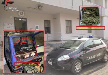 Mascali, colpo dei Cc: sequestrati 3 chili di marijuana. In manette un 41enne giarrese