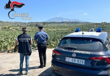 Carabinieri a tutela dei lavoratori: due denunce e sanzioni