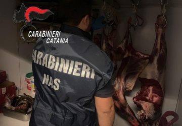 Contrasto all&rsquo;illegalit&agrave; diffusa a tutela di cittadini e turisti: denunce e sanzioni dei Carabinieri