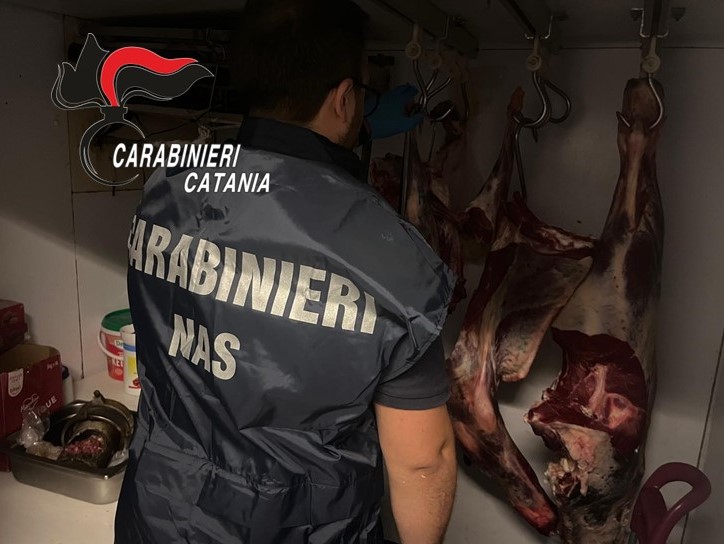 Contrasto all’illegalità diffusa a tutela di cittadini e turisti: denunce e sanzioni dei Carabinieri