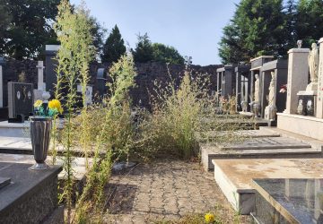 Passopisciaro, cimitero nel degrado. Appello dei residenti ai commissari straordinari