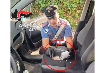 Spaccio “al volo” di cocaina: beccato 38enne