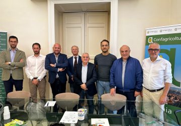 Catania, siglato il nuovo Contratto Provinciale di Lavoro in agricoltura. Aumenti dei salari pari al 6,2%.