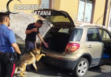 Controllano condizioni igienico-sanitarie di un bar e trovano fucile e droga: un arresto