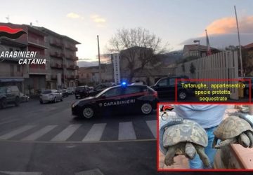 Piedimonte Etneo, passeggia in bici elettrica per spacciare: manette per un 45enne