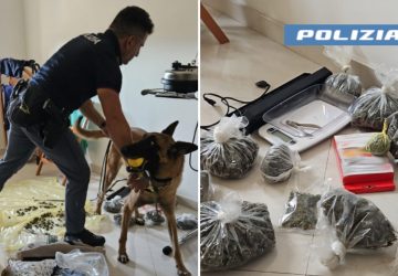 Coppia di coniugi cinquantenni col "pollice verde": beccati con 1 kg di droga ed una piantagione