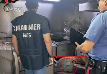 Escrementi di topi e blatte anche sul bancone: sospesa attivit&agrave; di un bar. Denunciato il titolare