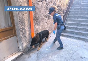 Nasconde la droga nel garage ma &ldquo;Maui&rdquo; la fiuta. Denunciato 48enne