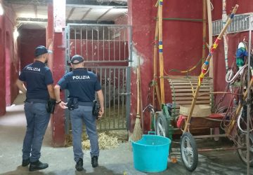 Contrasto alle corse clandestine di cavalli: scoperte 6 stalle abusive a San Cristoforo