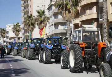 Agricoltura, danni da peronospora: la Regione Siciliana risarcir&agrave; le aziende