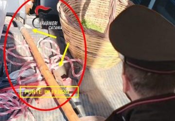 Piedimonte: in auto aveva due bastoni con punta in ferro. Denunciato mascalese