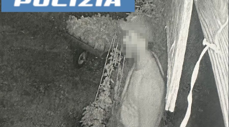 Ladro “goloso” ruba 20 barattoli di miele: denunciato 47enne