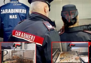 Giarre, pessime condizioni igienico-sanitarie: sospesa l&rsquo;attivit&agrave; di un panifico. Denunciato il titolare