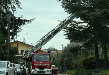 Giarre, rami d'albero a rischio crollo. Intervento dei Vigili del fuoco