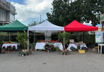 Giarre, il "Mazzei" promosso da Eduscopio fondazione Agnelli come una tra le migliori scuole d&rsquo;Italia