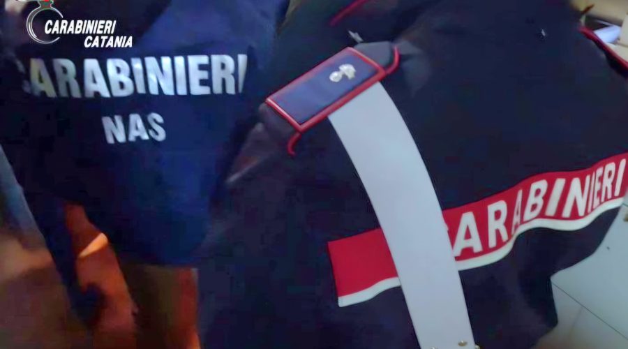 Scarafaggi e sporco diffuso: Nas sequestrano bar a Catania