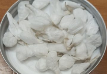 Acireale, rinvenute 30 dosi di cocaina nascoste in un cestino dei rifiuti